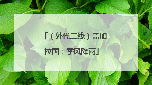 （外代二线）孟加拉国：季风降雨