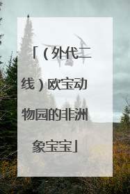 （外代二线）欧宝动物园的非洲象宝宝