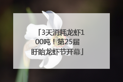 3天消耗龙虾100吨！第25届盱眙龙虾节开幕