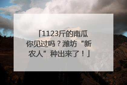1123斤的南瓜你见过吗？潍坊“新农人”种出来了！