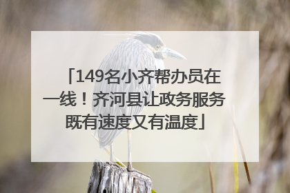 149名小齐帮办员在一线！齐河县让政务服务既有速度又有温度