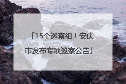 15个巡察组！安庆市发布专项巡察公告