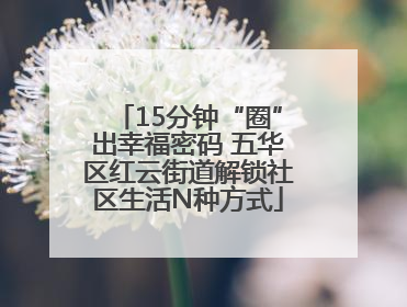 15分钟“圈”出幸福密码 五华区红云街道解锁社区生活N种方式
