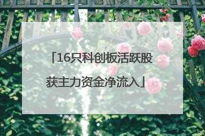 16只科创板活跃股获主力资金净流入