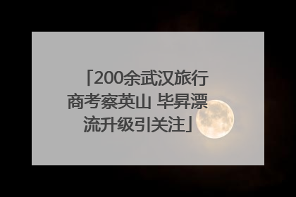 200余武汉旅行商考察英山 毕昇漂流升级引关注