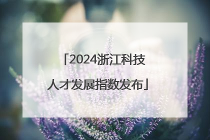 2024浙江科技人才发展指数发布
