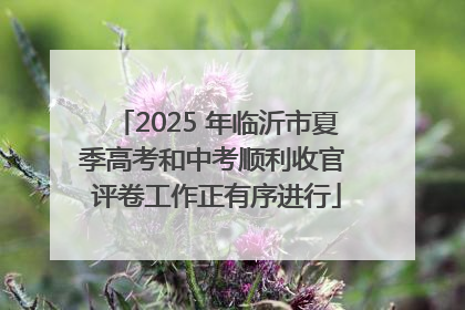2025 年临沂市夏季高考和中考顺利收官 评卷工作正有序进行