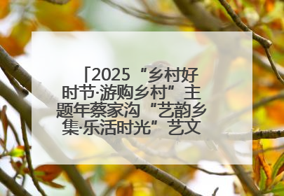 2025“乡村好时节·游购乡村”主题年蔡家沟“艺韵乡集·乐活时光”艺文嘉年华活动启幕