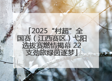 2025“村超”全国赛（江西赛区）弋阳选拔赛燃情揭幕 22支劲旅绿茵逐梦