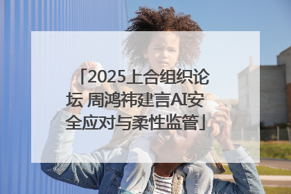 2025上合组织论坛 周鸿祎建言AI安全应对与柔性监管