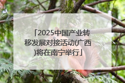 2025中国产业转移发展对接活动(广西)将在南宁举行