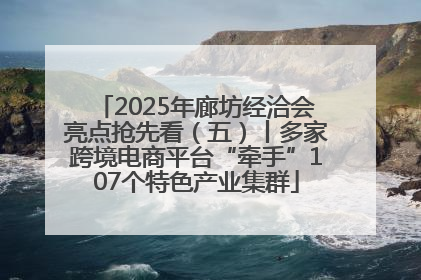 2025年廊坊经洽会亮点抢先看（五）丨多家跨境电商平台“牵手”107个特色产业集群