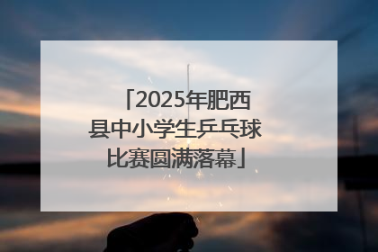 2025年肥西县中小学生乒乓球比赛圆满落幕