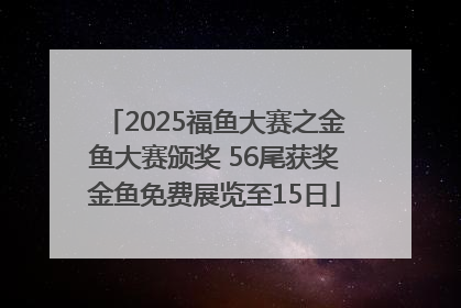 2025福鱼大赛之金鱼大赛颁奖 56尾获奖金鱼免费展览至15日