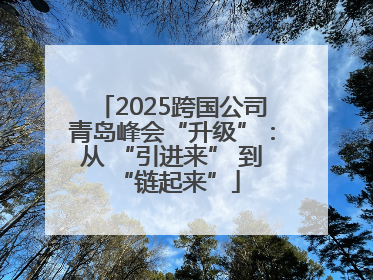 2025跨国公司青岛峰会“升级”：从 “引进来” 到 “链起来”