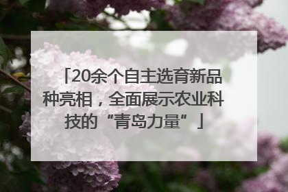 20余个自主选育新品种亮相，全面展示农业科技的“青岛力量”