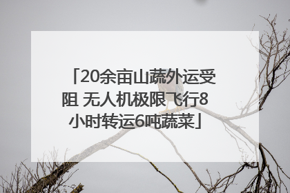 20余亩山蔬外运受阻 无人机极限飞行8小时转运6吨蔬菜