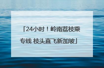 24小时！岭南荔枝乘专线 枝头直飞新加坡