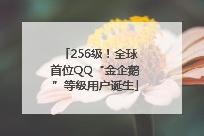 256级！全球首位QQ“金企鹅”等级用户诞生