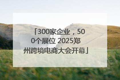 300家企业，500个展位 2025郑州跨境电商大会开幕