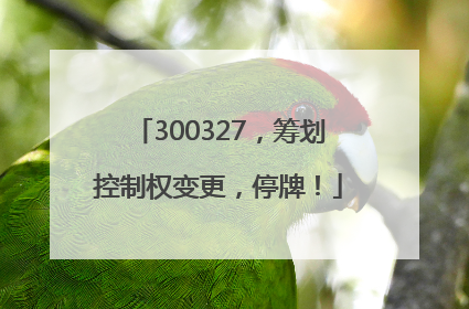 300327，筹划控制权变更，停牌！
