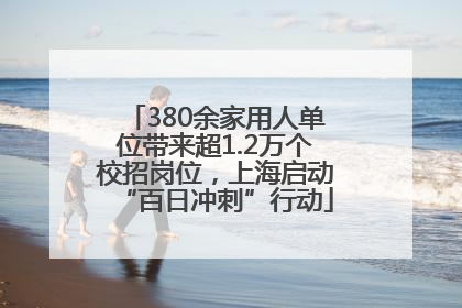380余家用人单位带来超1.2万个校招岗位，上海启动“百日冲刺”行动