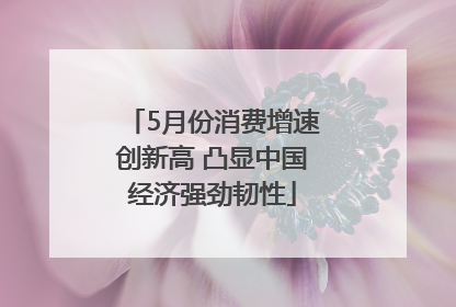 5月份消费增速创新高 凸显中国经济强劲韧性