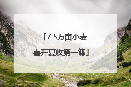 7.5万亩小麦喜开夏收第一镰