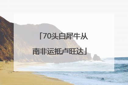 70头白犀牛从南非运抵卢旺达