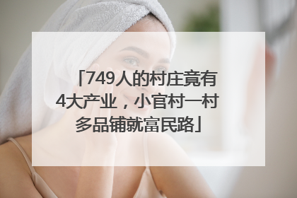 749人的村庄竟有4大产业，小官村一村多品铺就富民路