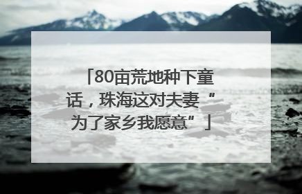 80亩荒地种下童话，珠海这对夫妻“为了家乡我愿意”