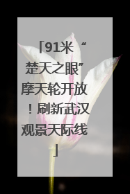 91米“楚天之眼”摩天轮开放！刷新武汉观景天际线