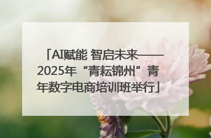 AI赋能 智启未来——2025年“青耘锦州”青年数字电商培训班举行