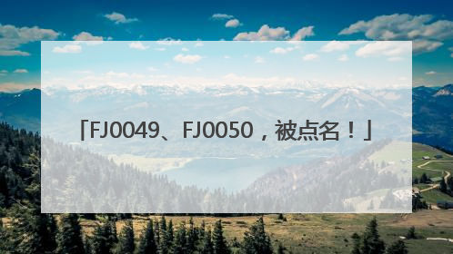 FJ0049、FJ0050，被点名！