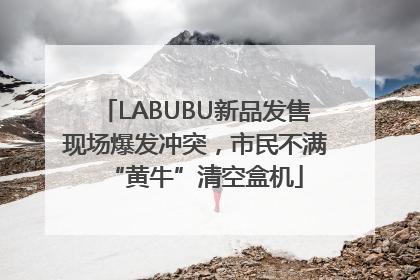 LABUBU新品发售现场爆发冲突，市民不满“黄牛”清空盒机