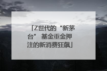 Z世代的“新茅台” 基金重金押注的新消费狂飙